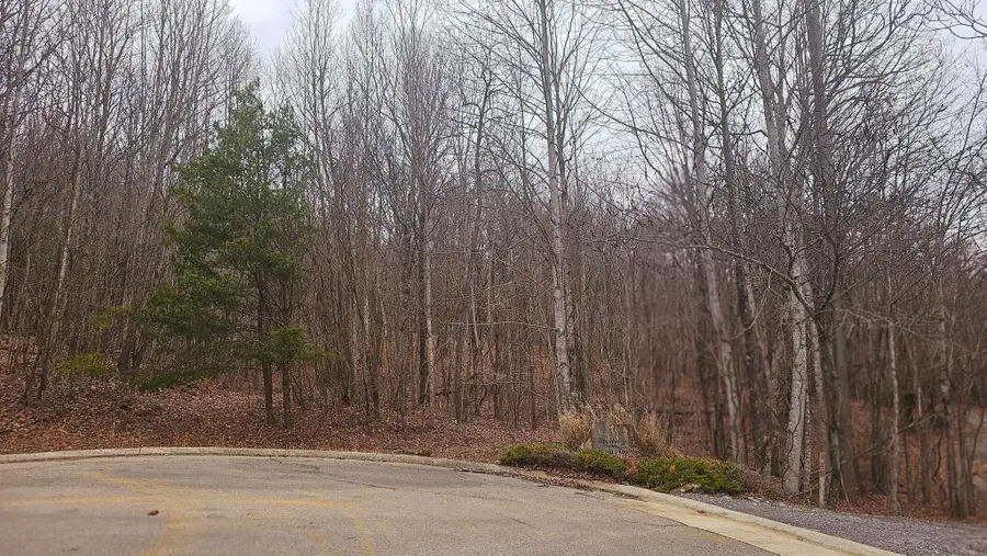 0 Mountain Top Trail, Dunlap, TN 37327 - Image #3