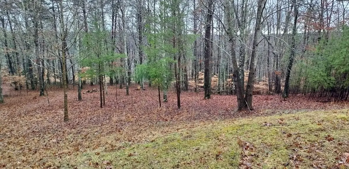 0 Wilderness Lane, Spencer, TN 38585 - Image #1