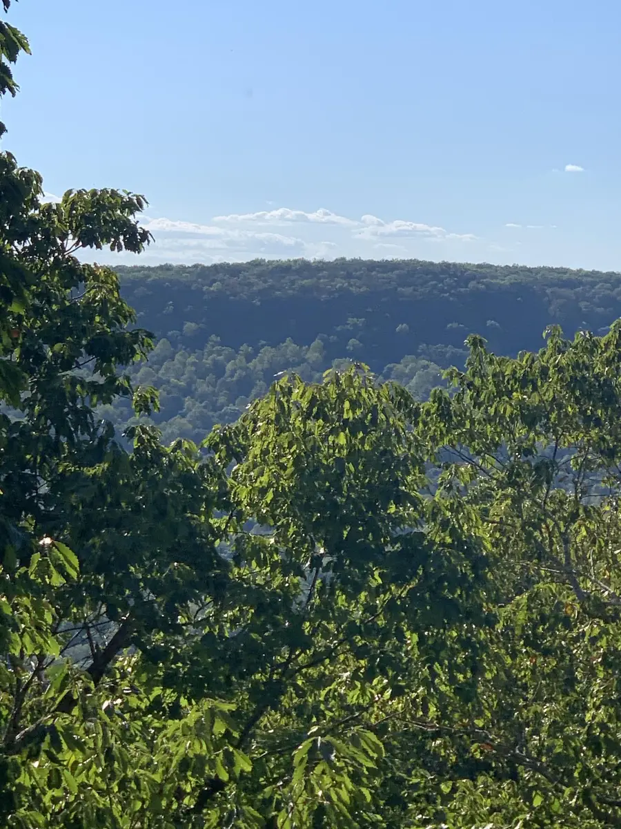 0 Wilderness Lane, Spencer, TN 38585 - Image #2