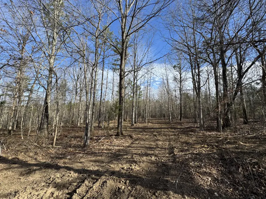 0 Old Mail Road, Duck River, TN 38454 - Image #2