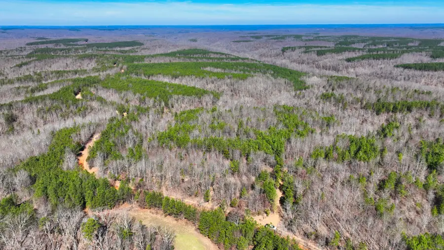 0 Old Mail Road, Duck River, TN 38454 - Image #3