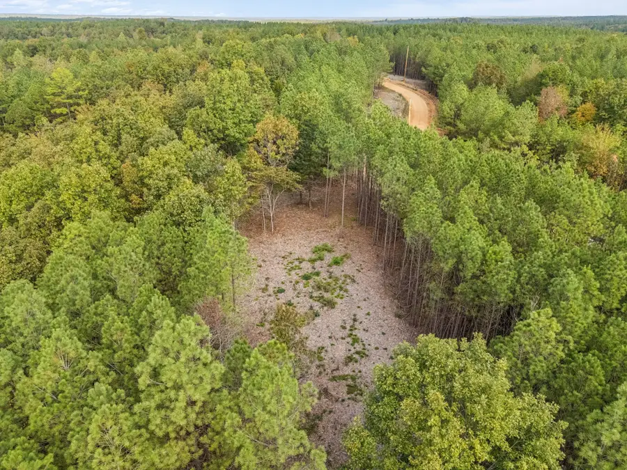 0 Old Mail Road, Duck River, TN 38454 - Image #3