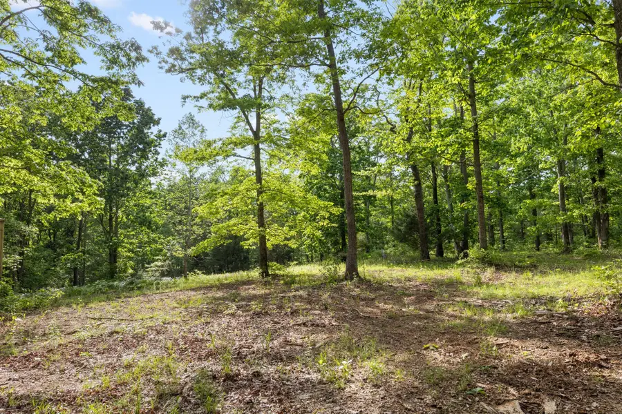 0 Bells Branch Rd, Nunnelly, TN 37137 - Image #2