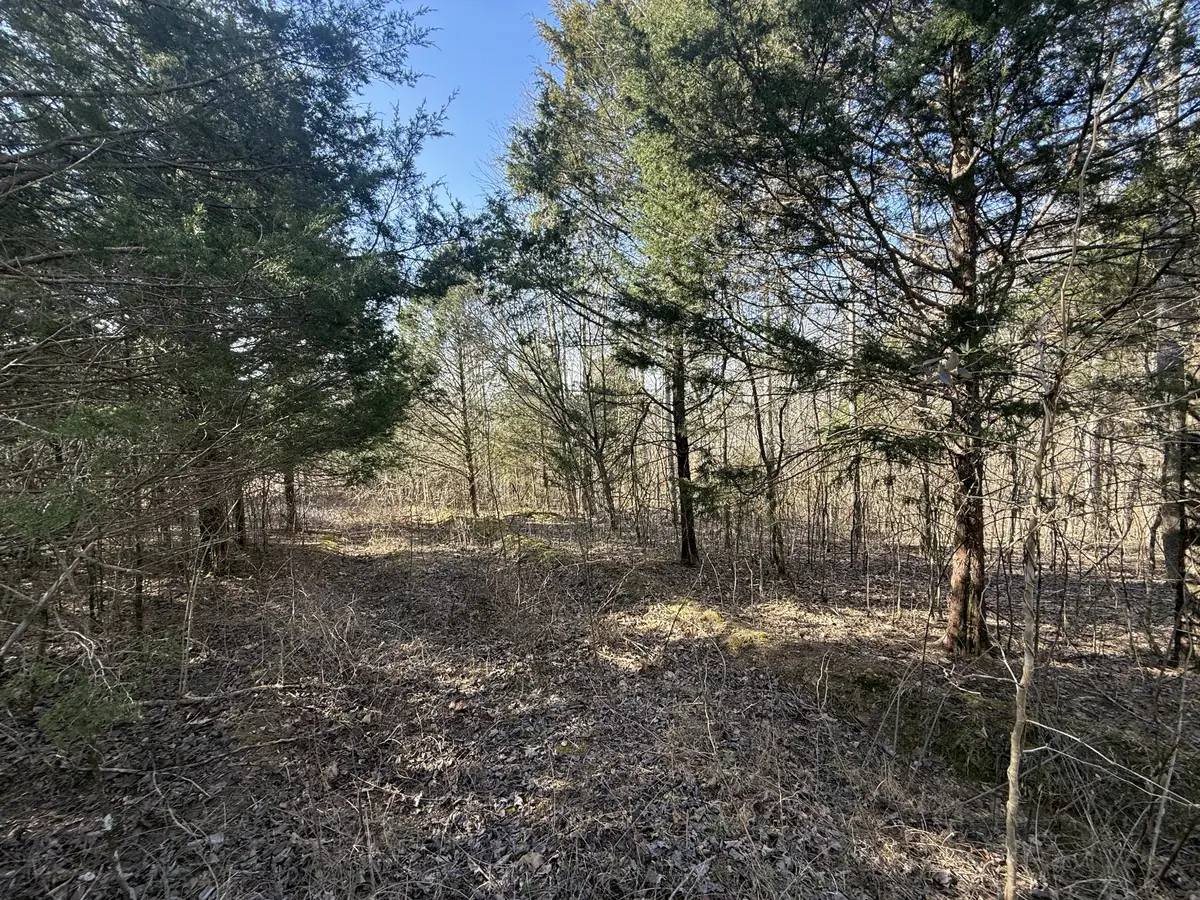 0 Grays Chapel Rd, Southside, TN 37171 - #1