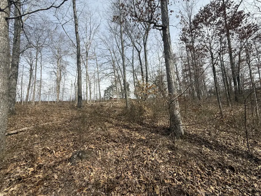 0 Grays Chapel Rd, Southside, TN 37171 - Image #3