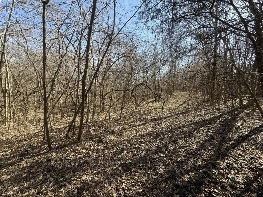 0 Epps Rd, Southside, TN 37171 - Image #2