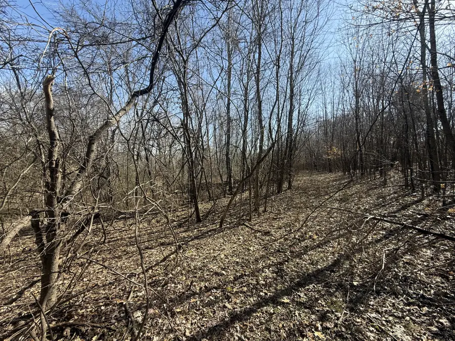 0 Epps Rd, Southside, TN 37171 - Image #3