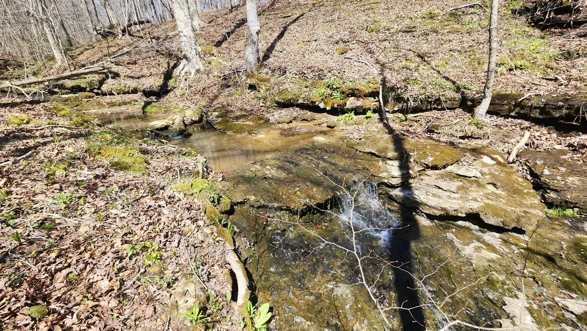 0 Allen Bend Rd, Smithville, TN 37166 - #1