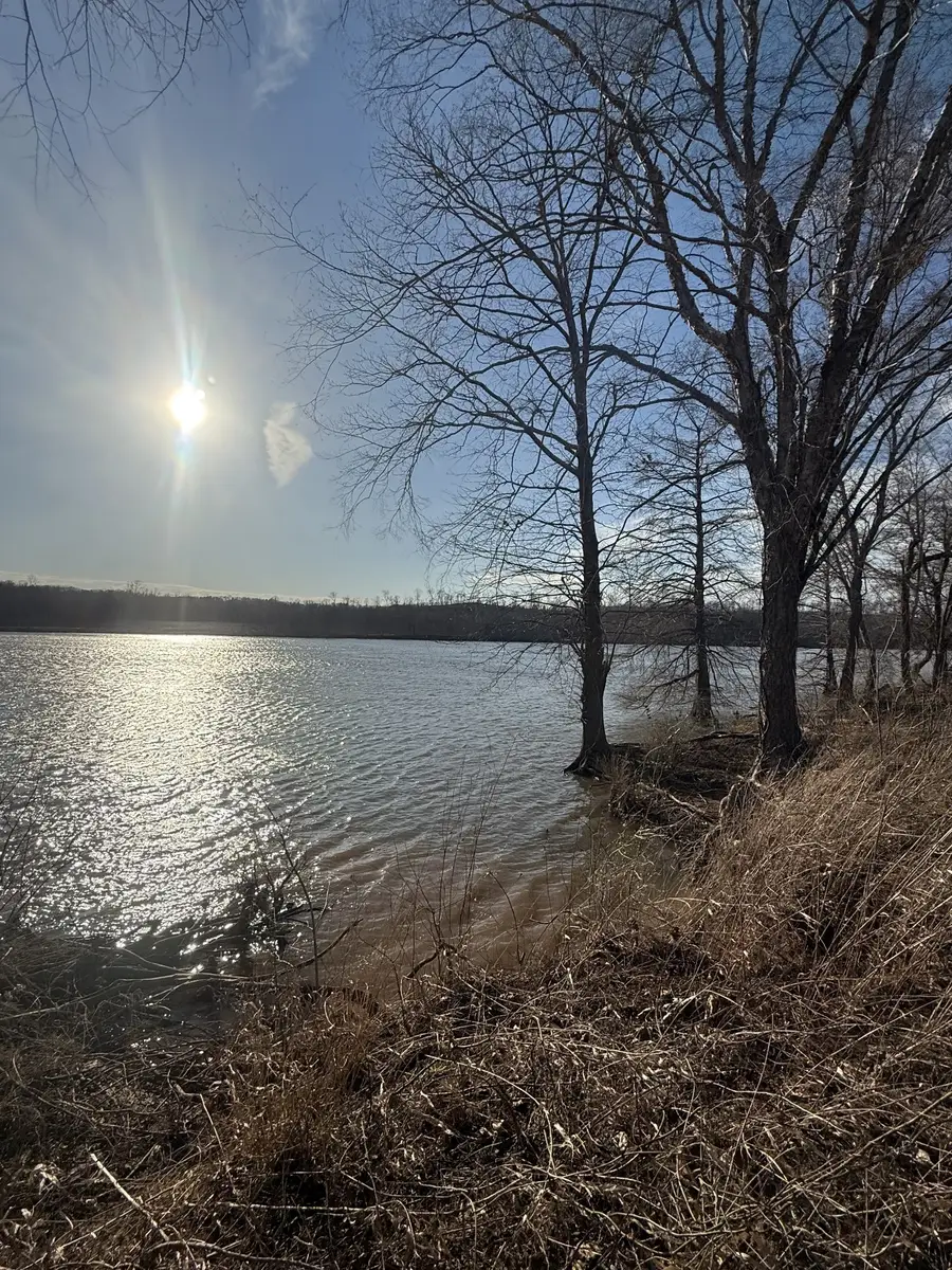 415 Hardin Bottom Rd, Clifton, TN 38425 - Image #3