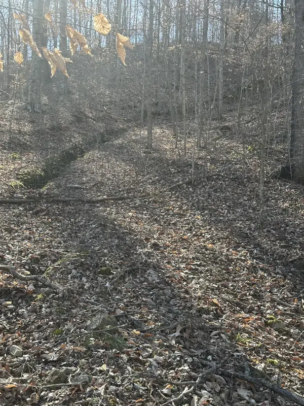 0 Buck Branch Rd, Duck River, TN 38454