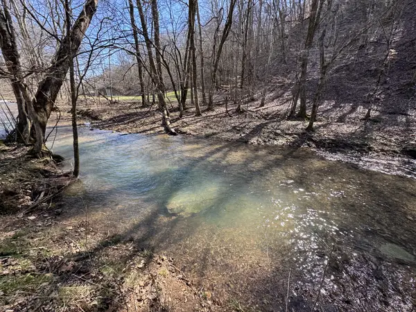 0 Waterfall Creek Road, Collinwood, TN 38450