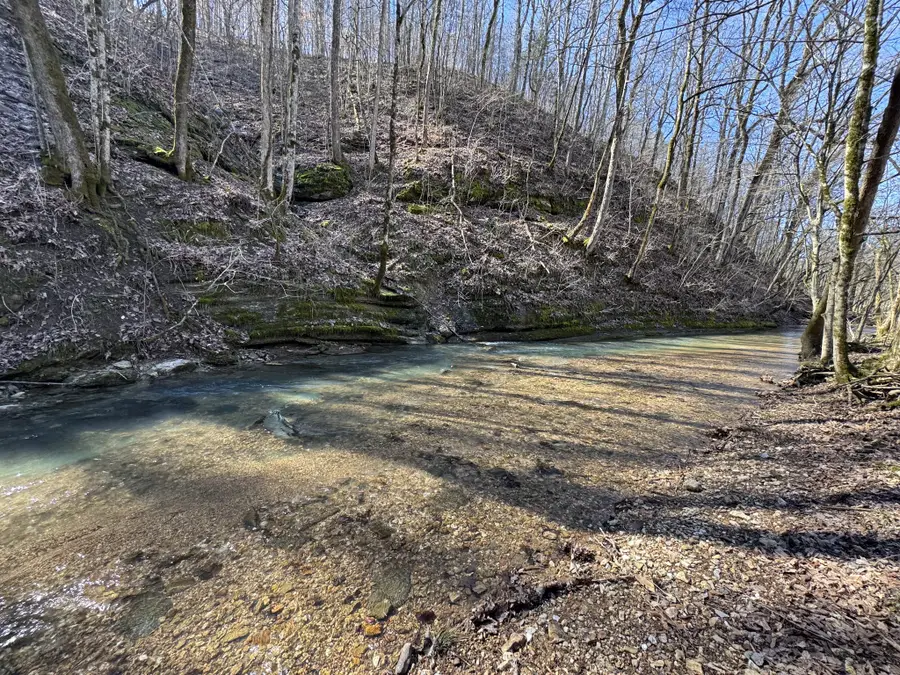0 Waterfall Creek Road, Collinwood, TN 38450 - Image #3