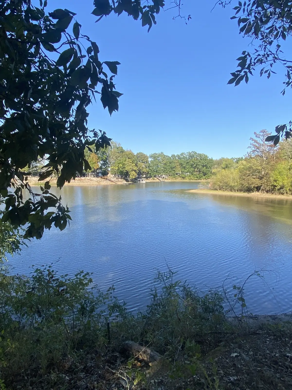 442 Duck Blind Rd, Clifton, TN 38425 - Image #1