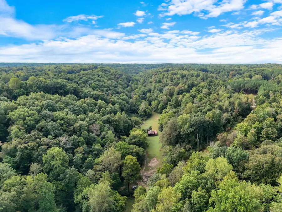 1344 Cut Off Rd, Ethridge, TN 38456 - Image #3