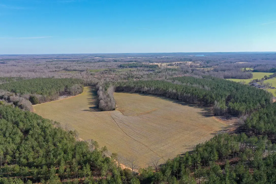 0 Doe Road, Saltillo, TN 38370 - Image #1