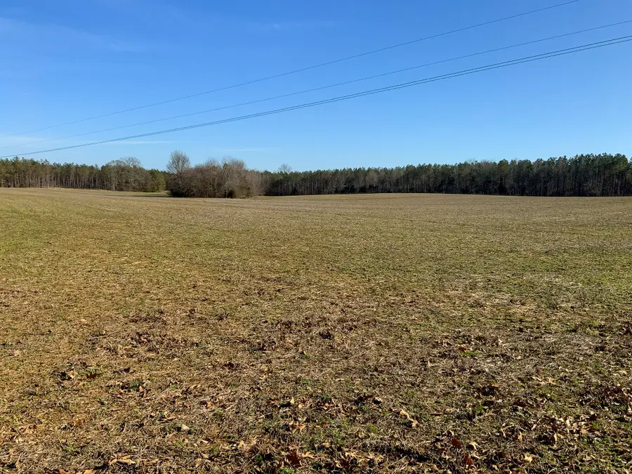 0 Doe Road, Saltillo, TN 38370 - Image #3