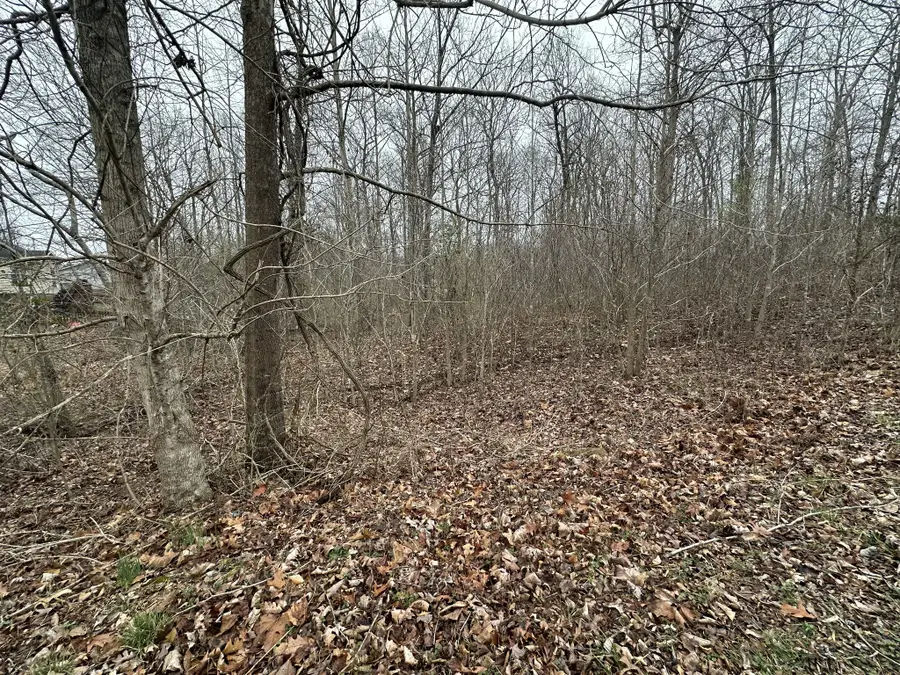 7 Ginger Drive, Dover, TN 37058 - Image #3