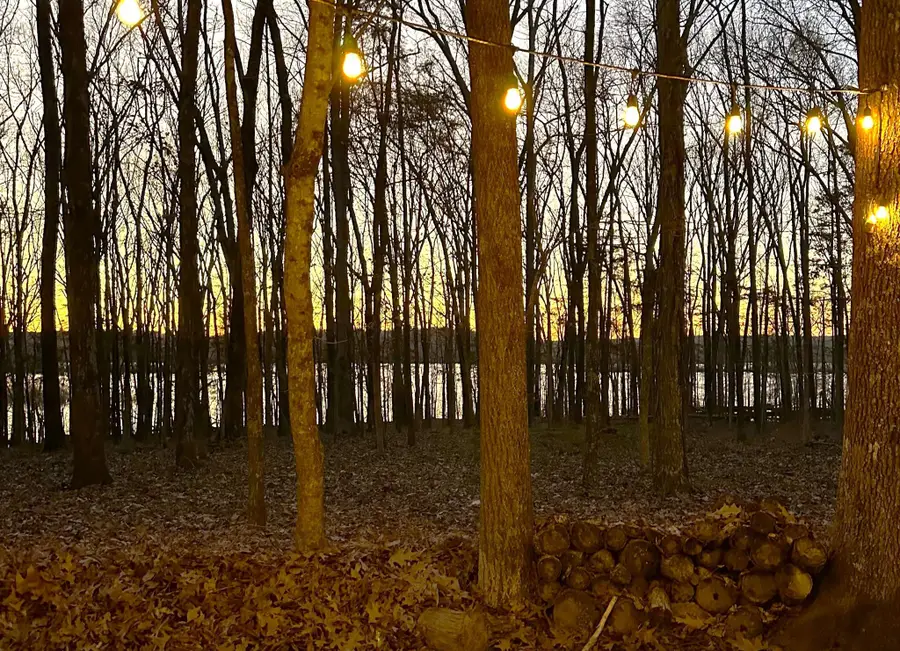 109 Arrington Lane, Waverly, TN 37185 - Image #2