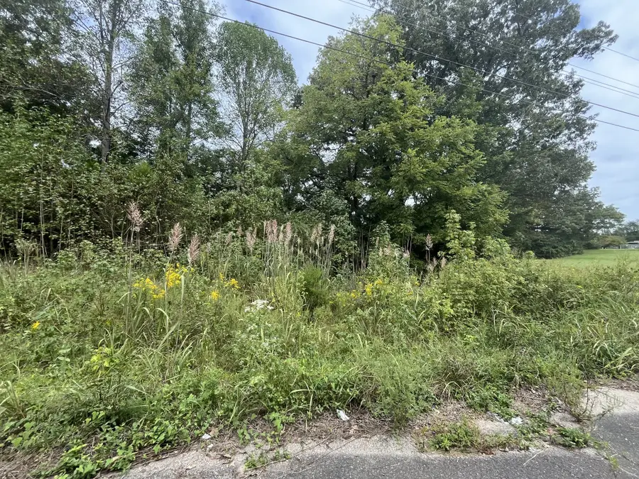 53 Beaumont Dr, Jackson, TN 38305 - #3