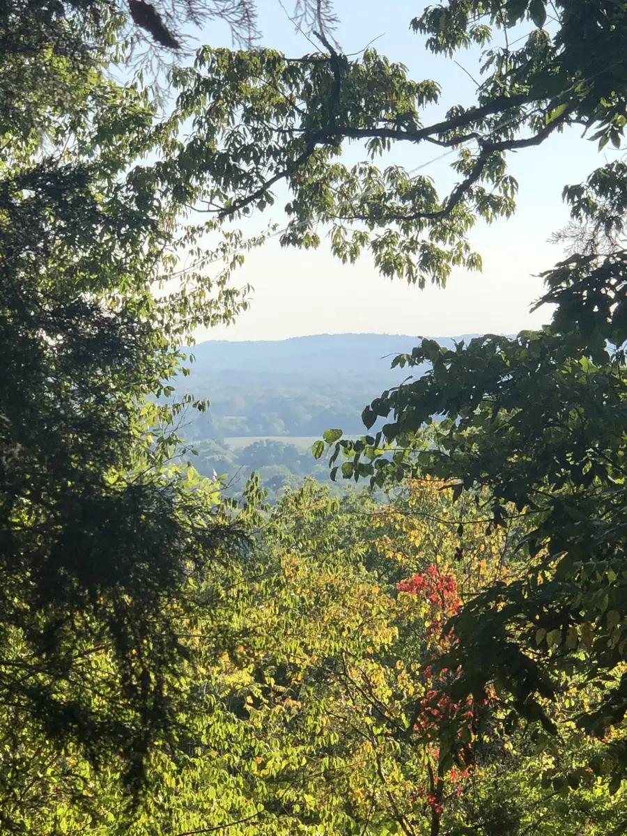 1462 Sneed Rd W, Franklin, TN 37069 - Image #2