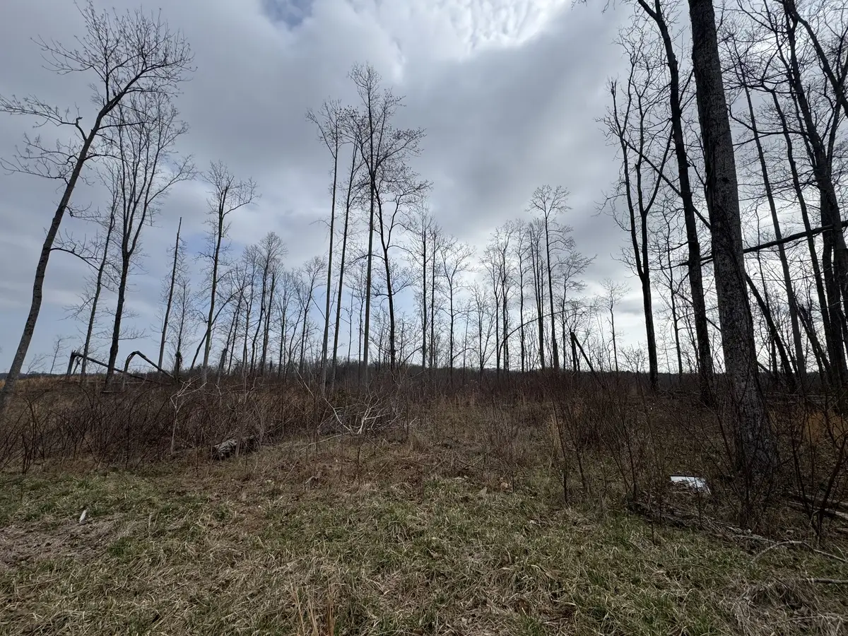 0 S Peninsula Edge Dr, Smithville, TN 37166 - #1