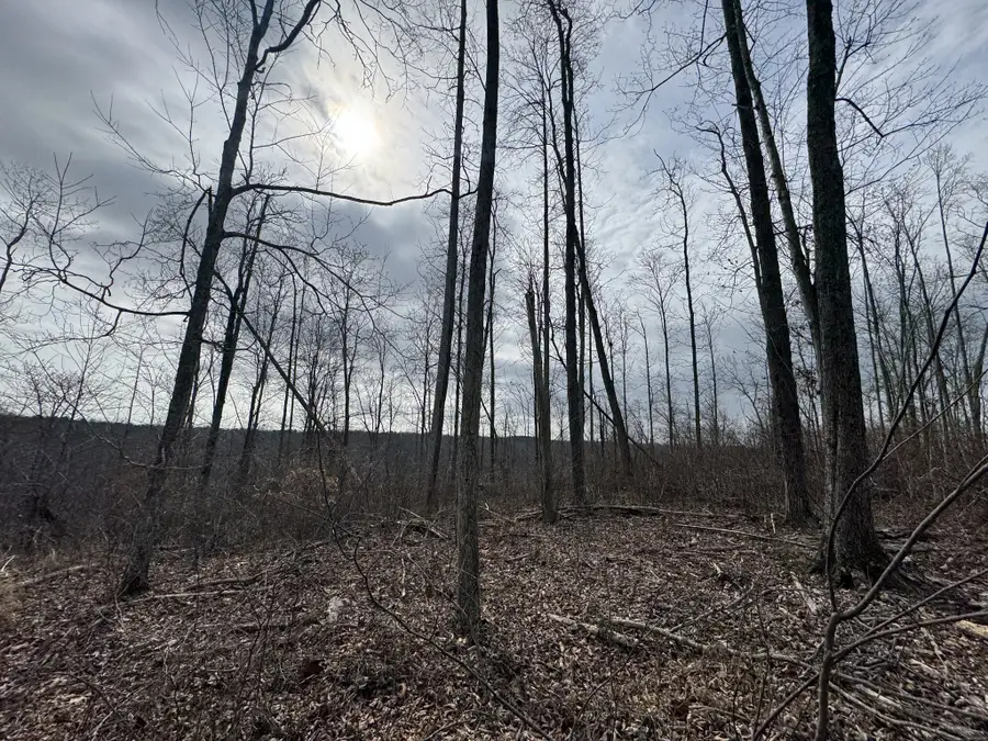 0 S Peninsula Edge Dr, Smithville, TN 37166 - #2