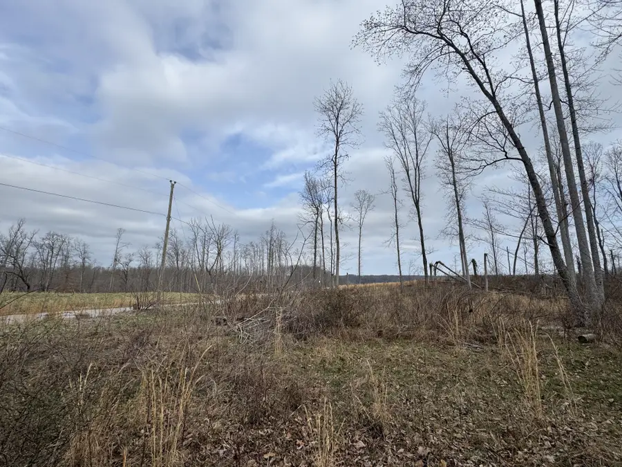 0 S Peninsula Edge Dr, Smithville, TN 37166 - #3