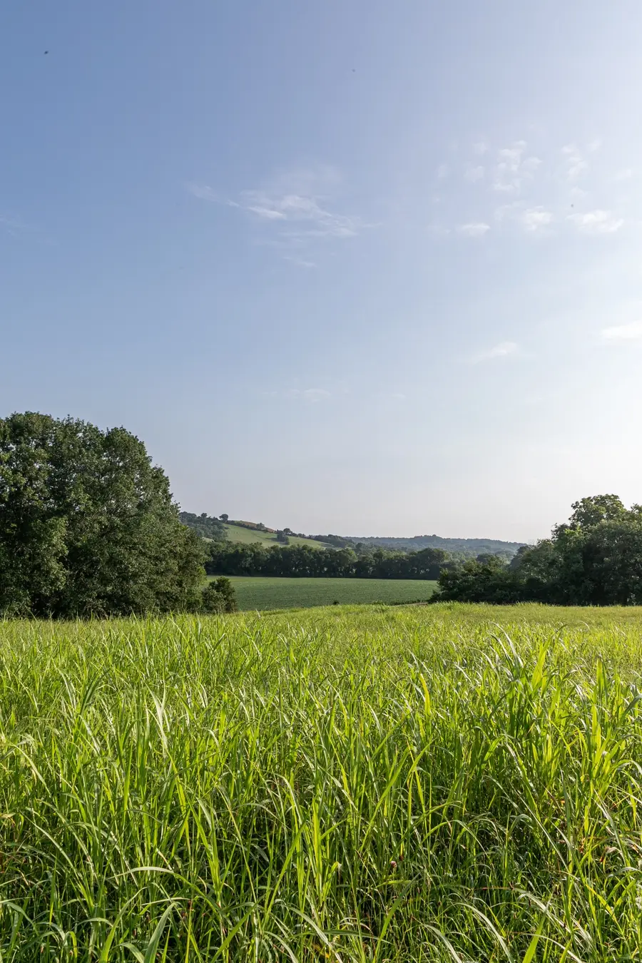 2470 Santa Fe Pike, Columbia, TN 38401 - #2