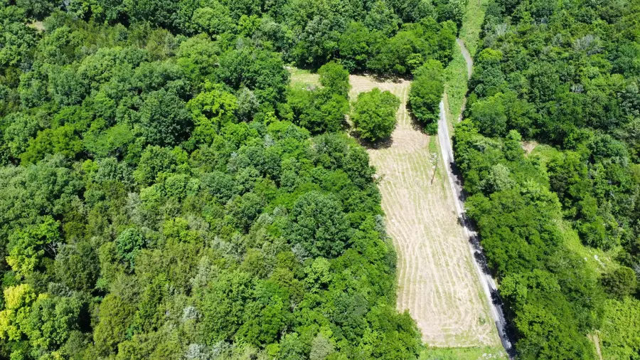 1790 Tolbert Hollow Rd, Bradyville, TN 37026 - Image #3