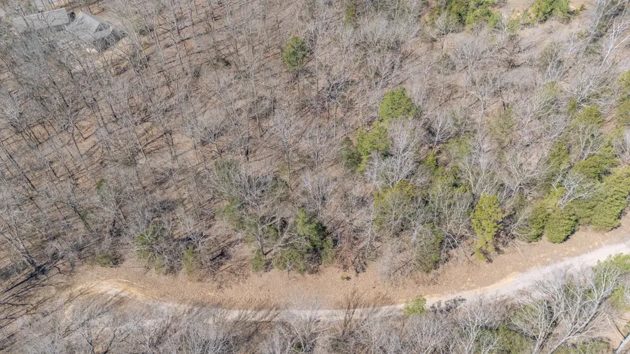 884 Huckleberry Cv, Saulsbury, TN 38067 - #3