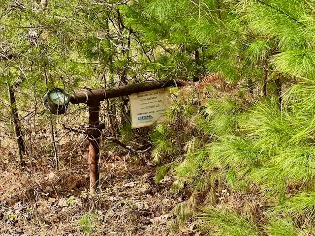 144 Gunter Place Rd, Sunbright, TN 37872 - Image #3