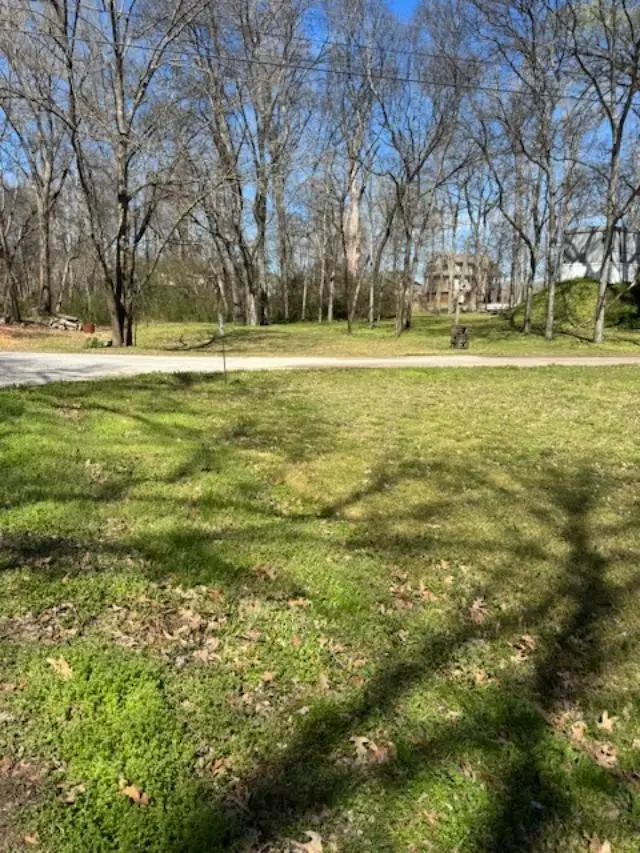 0 Arrow Head Dr, Parsons, TN 38363 - #3