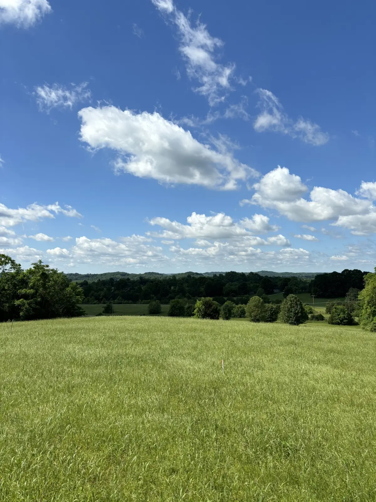 1091 Bugscuffle Rd, Wartrace, TN 37183 - Image #1