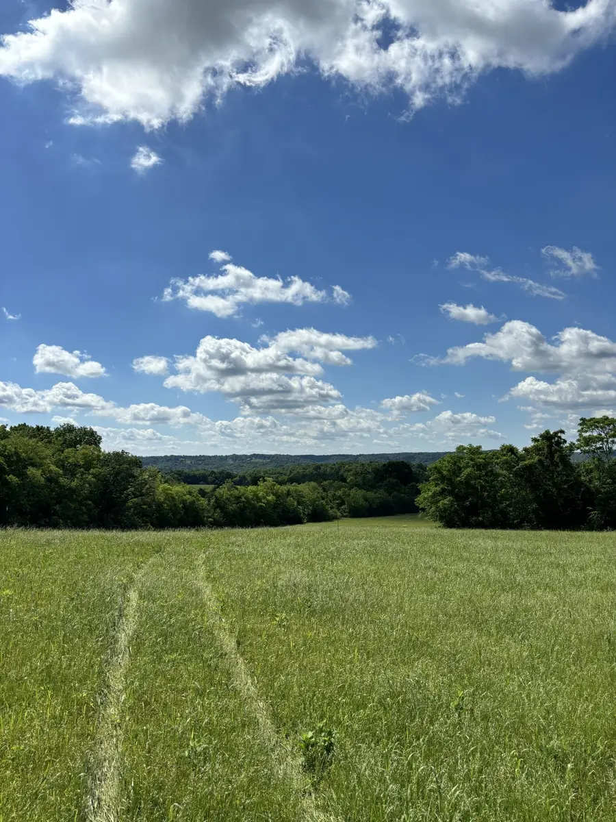 1091 Bugscuffle Rd, Wartrace, TN 37183 - Image #3