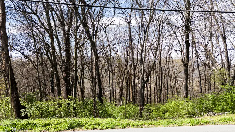 269 Whitehall Road, Chattanooga, TN 37405 - Image #3