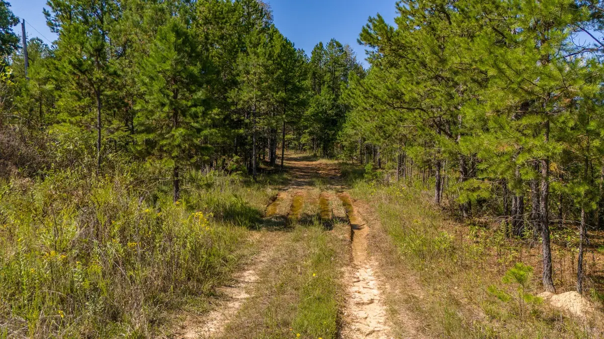 0 Happy Hollow, Hohenwald, TN 38462 - Image #1