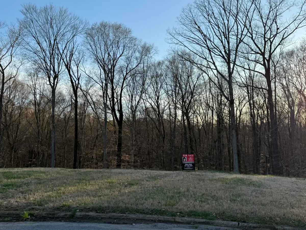 168 Steeple Ridge Way, Clarksville, TN 37043 - #1