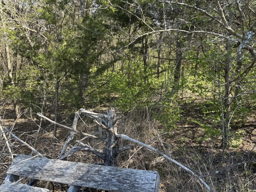 0 Nolensville Rd, Nolensville, TN 37135 - Image #2