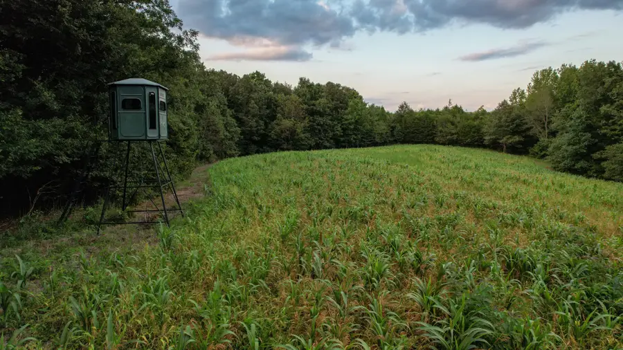 1651 Yellow Creek, Dickson, TN 37055 - Image #3