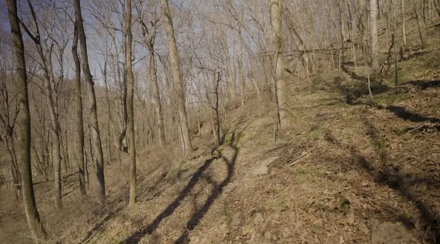 3 Enterprise Rd, Mount Pleasant, TN 38474 - #2