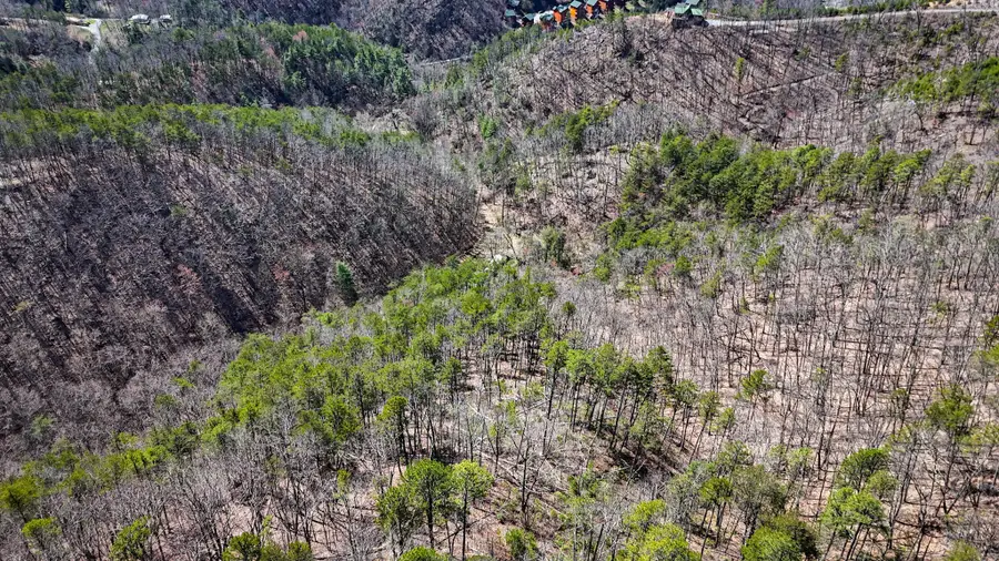 1060 Rayfield Hollow Way, Sevierville, TN 37862 - #3