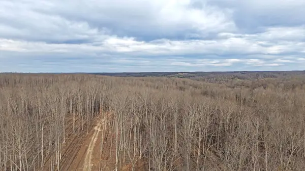 1L Oak Ridge Rd, Vanleer, TN 37181