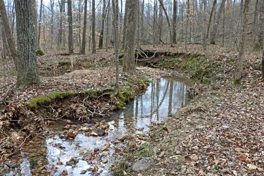 1L Oak Ridge Rd, Vanleer, TN 37181 - Image #2