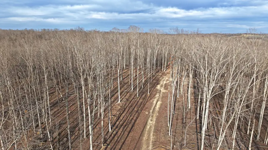 1L Oak Ridge Rd, Vanleer, TN 37181 - Image #3