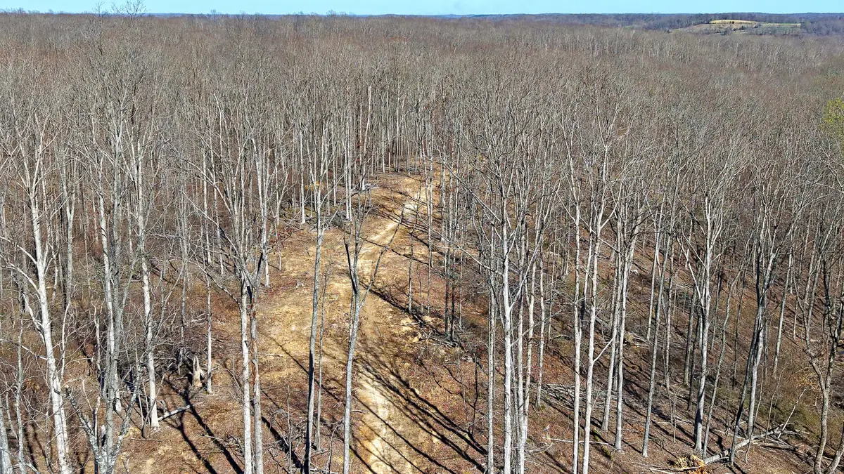 2L Oak Ridge Rd, Vanleer, TN 37181 - Image #1