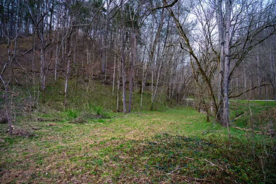 1438 Wartrace Road, Red Boiling Springs, TN 37150 - Image #2