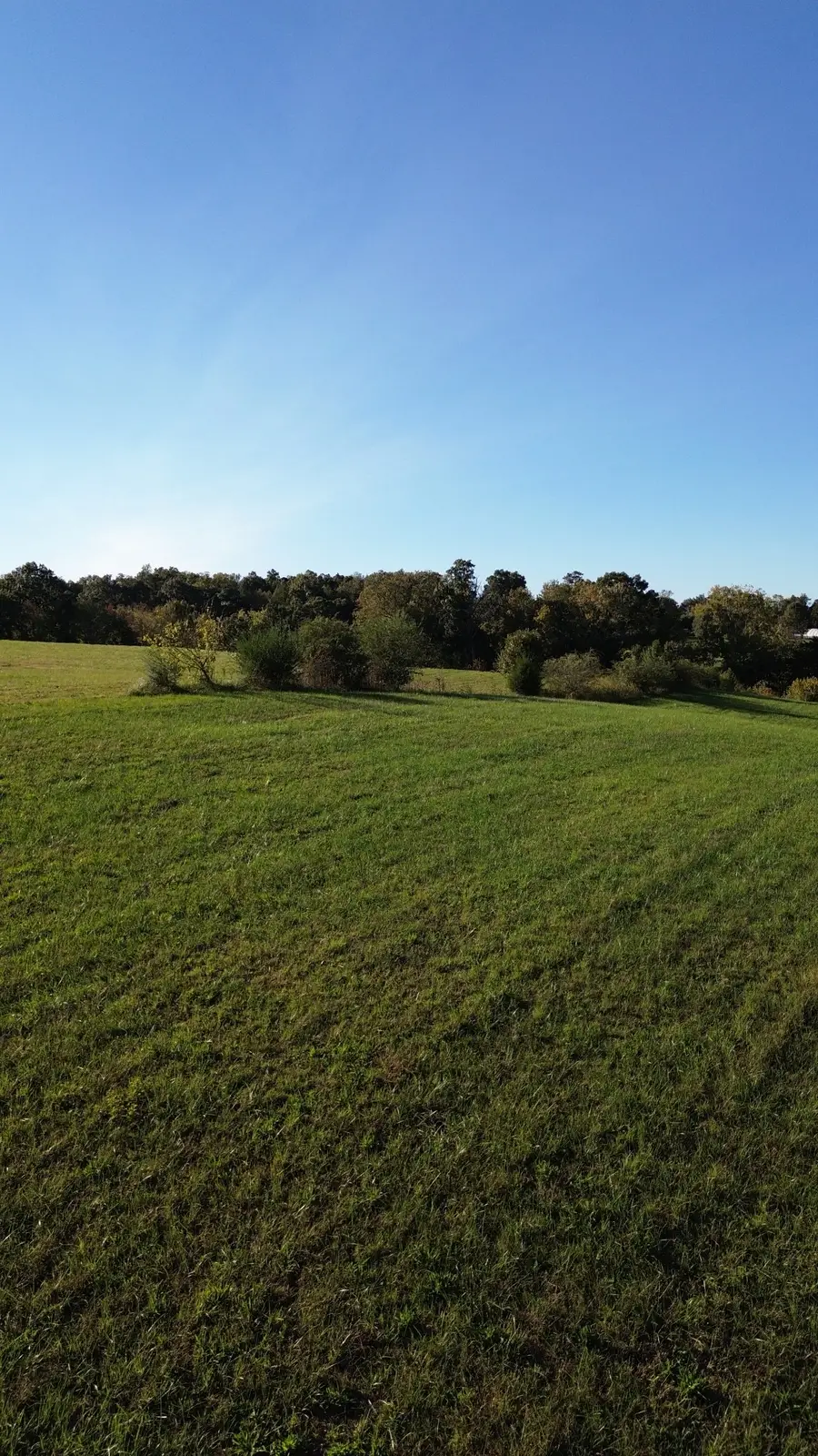 646 Barnes Mill Rd, Smithville, TN 37166 - #3