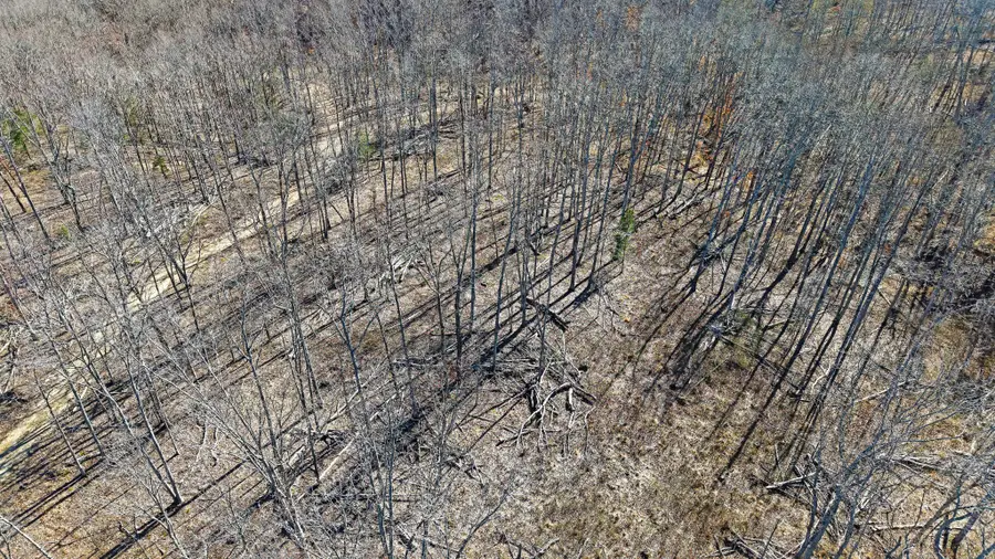 3L Oak Ridge Rd, Vanleer, TN 37181 - Image #3