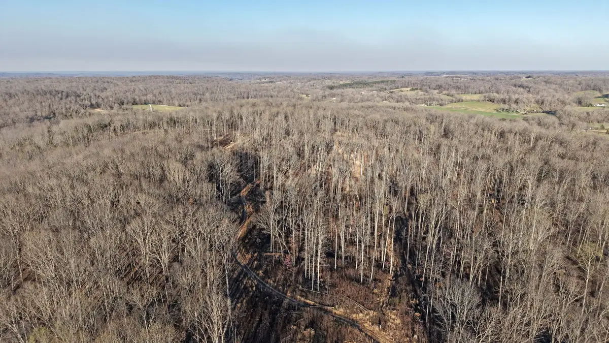 6 Oak Ridge Rd, Vanleer, TN 37181 - Image #1