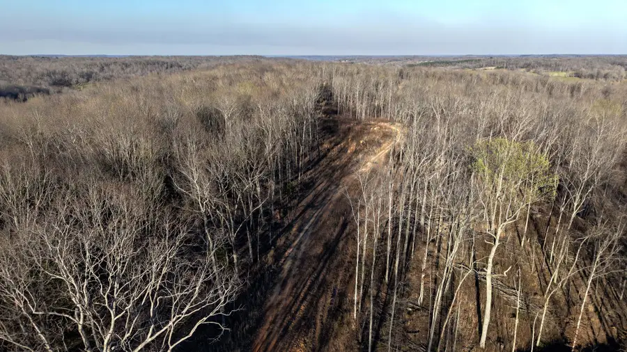 6 Oak Ridge Rd, Vanleer, TN 37181 - Image #2